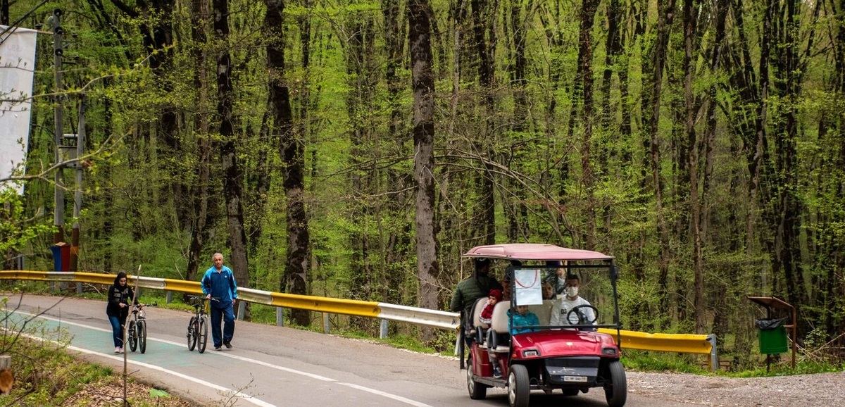 جنگل الگندره کجاست النگدره-مازندران-اوژن گشت