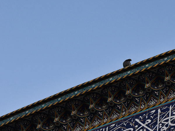 جاهای دیدنی کربلا